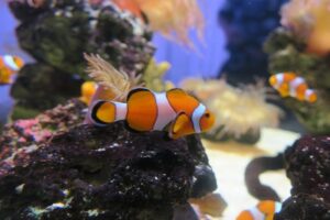 大阪府の万博記念公園にあるニフレル。新感覚の体験ができ、団体旅行・社員旅行でも人気です。