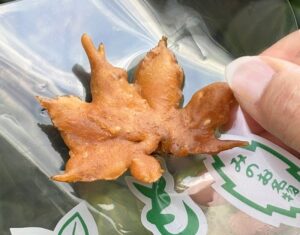 大阪府の箕面大滝への道中で買えるもみじの天ぷら。団体旅行・社員旅行でも味見してみたい。