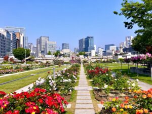 大阪市の中之島公園は、土佐堀川を船で遊覧したり、近代建築を楽しむことができます。団体旅行・社員旅行でも癒しスポットとしておすすめです。