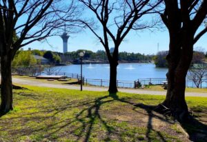 大阪市にある鶴見緑地は広大な公園でBBQなど団体旅行・社員旅行でも楽しめるスポットです。