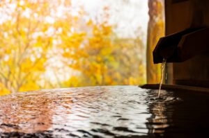 大阪府とその周辺には、日帰り団体旅行・社員旅行でも楽しめる温泉があります。有馬温泉、箕面温泉などおすすめです。