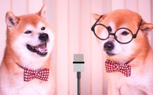 大阪と言えば、お笑い、漫才、落語、新喜劇。団体旅行でも楽しめまっせ。