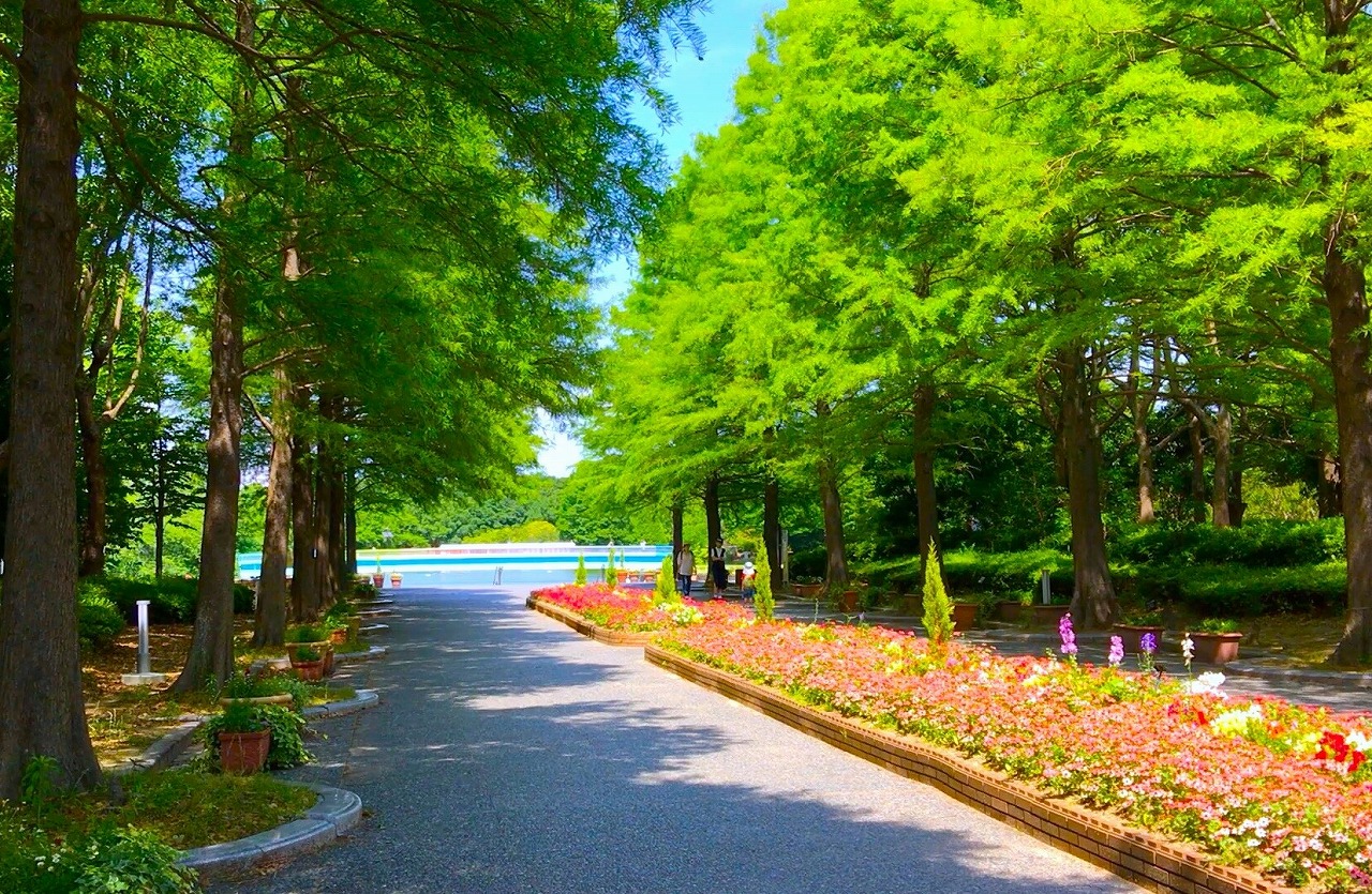 長居公園の文化施設＆大阪くらしの今昔館を巡る！大阪の自然・歴史・文化満喫の団体旅行プラン！