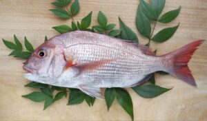 貸切バス利用の団体旅行の際の食事処としては、日本食・和食が人気です。